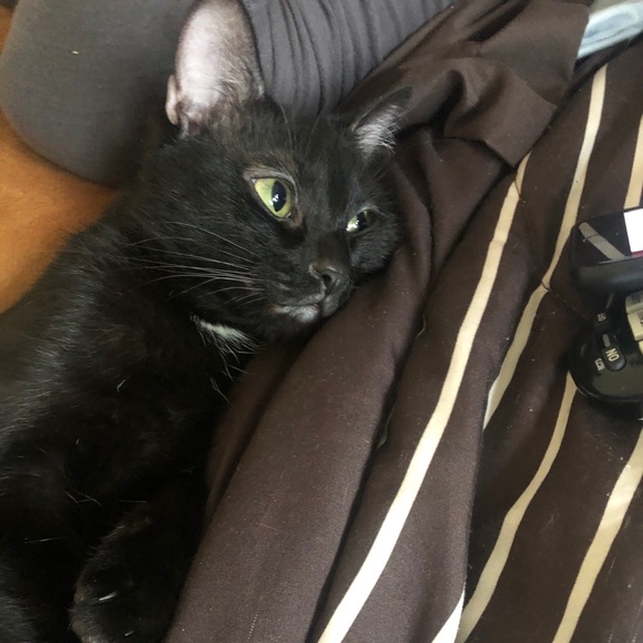 Meet your Posher, Mari - Picture 2 of 11